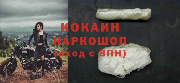 прущий лед Богданович