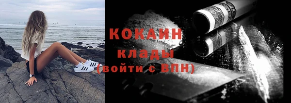 спиды Богородицк