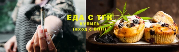 спиды Богородицк