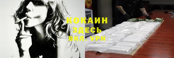 прущий лед Богданович