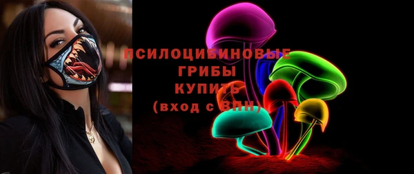 прущий лед Богданович