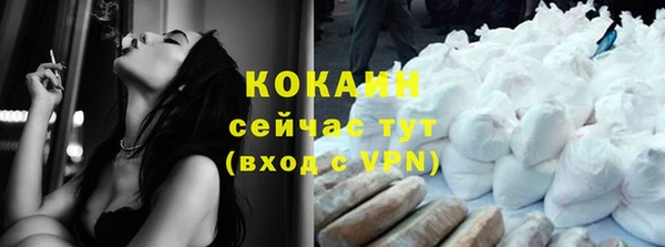 прущий лед Богданович