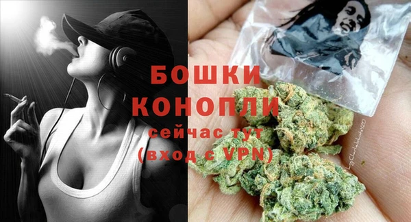 спиды Богородицк