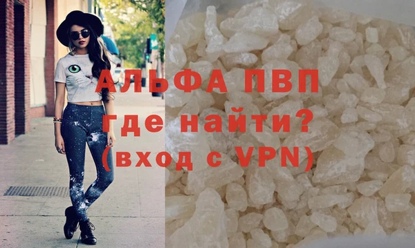 прущий лед Богданович