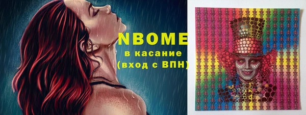 прущий лед Богданович