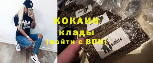 прущий лед Богданович