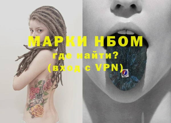 спиды Богородицк