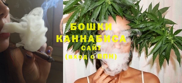 спиды Богородицк
