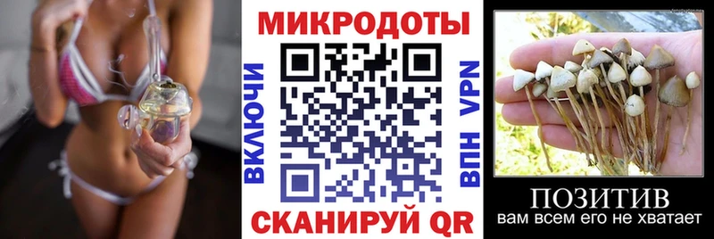 Галлюциногенные грибы MAGIC MUSHROOMS  нарко площадка формула  Менделеевск  купить наркотики цена 